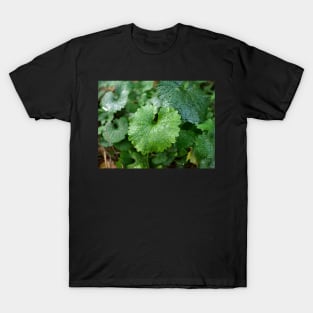 Green leaf look like dinosaur T-Shirt